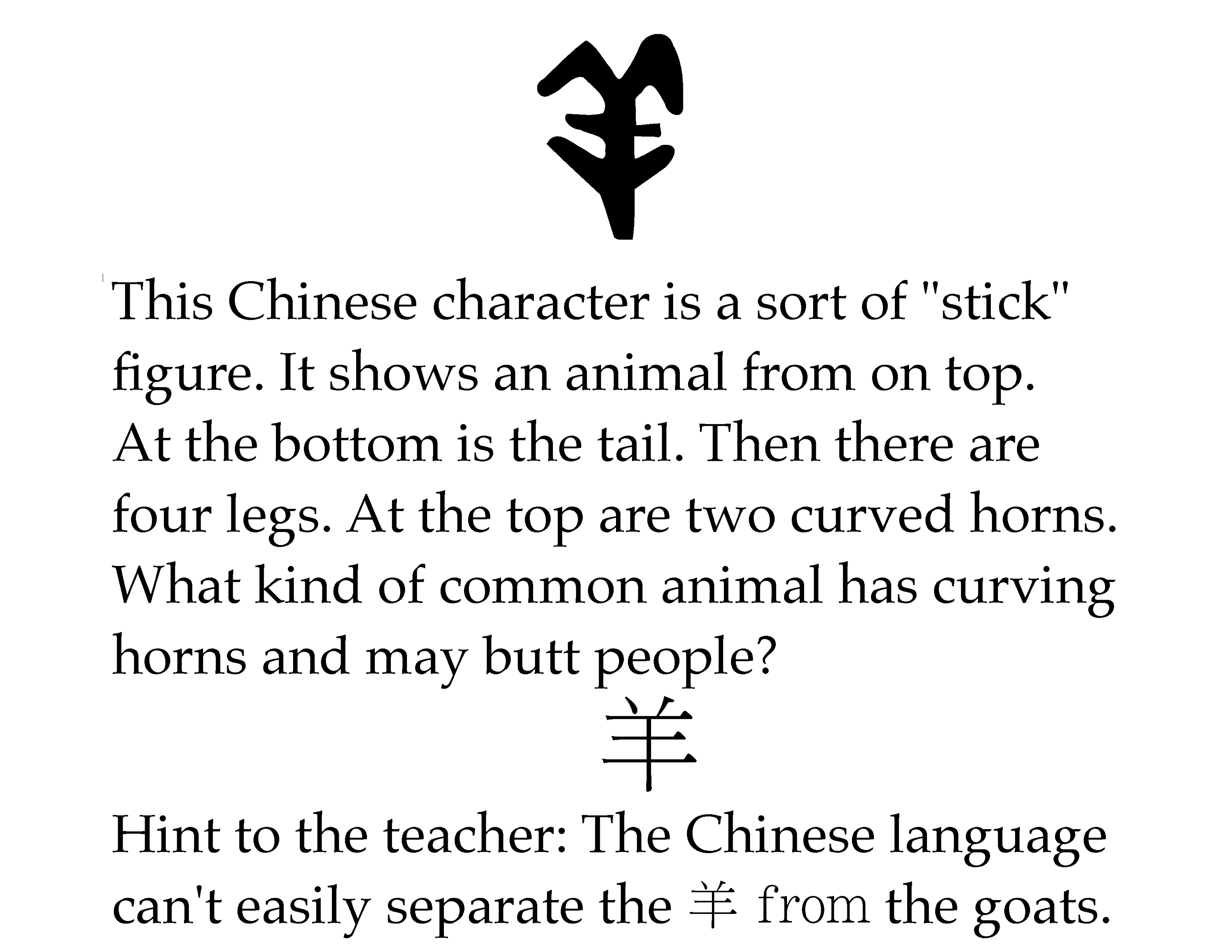 yang2 sheep explanation